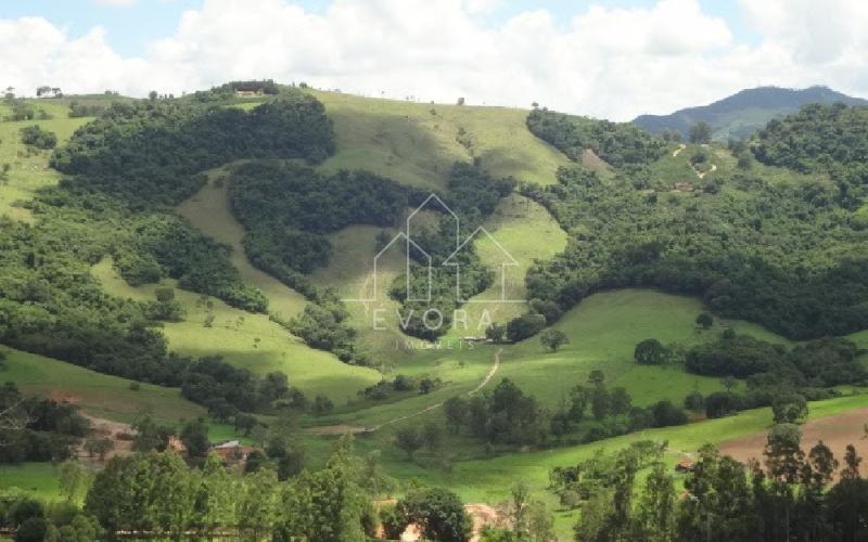 Sítio Monte Sião - Coqueiral