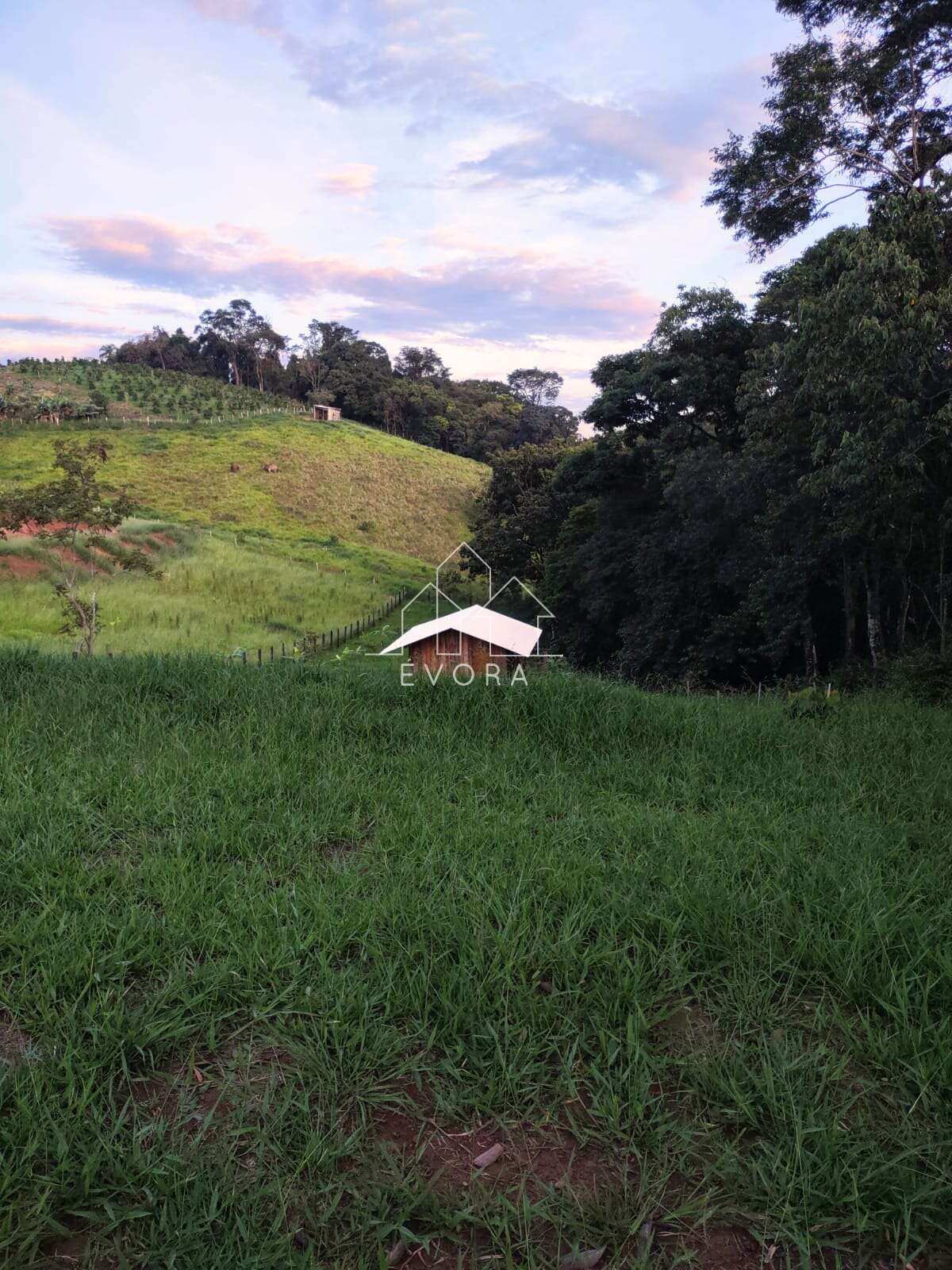 Chácara à venda em Monte Sião, Alves, 4.500m² - Évora Imóveis