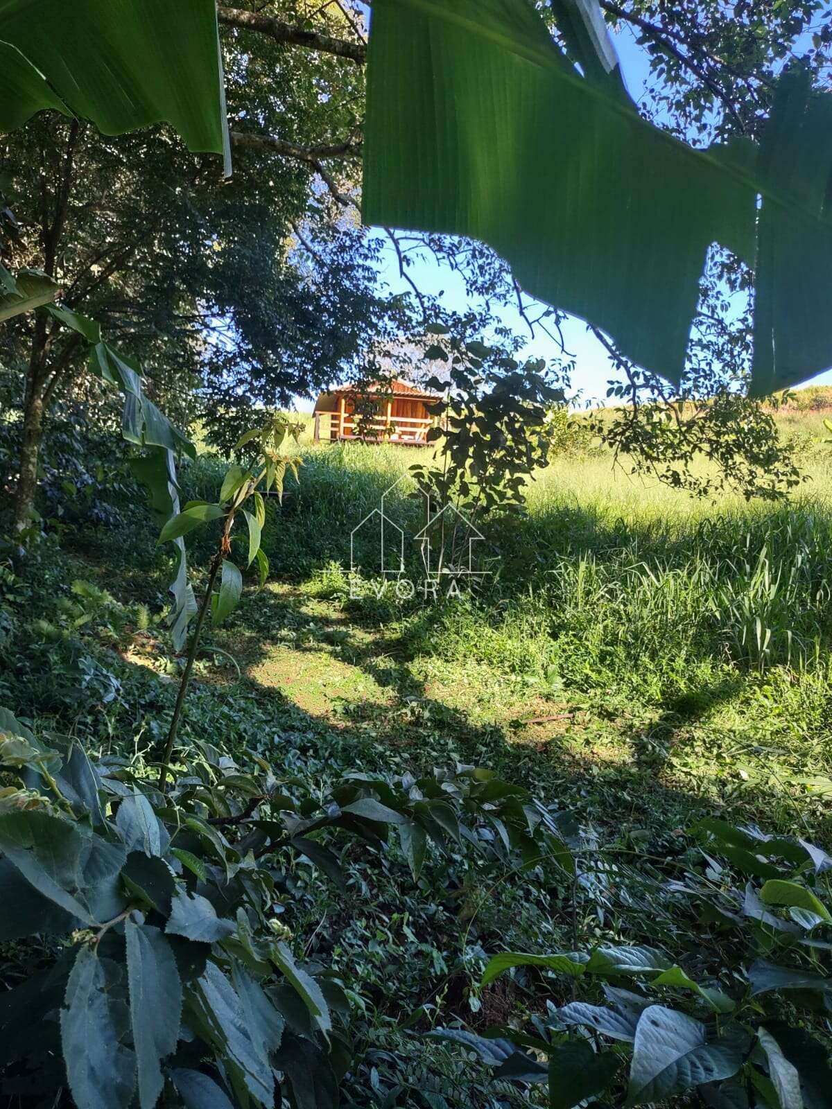 Chácara à venda em Monte Sião, Alves, 4.500m² - Évora Imóveis