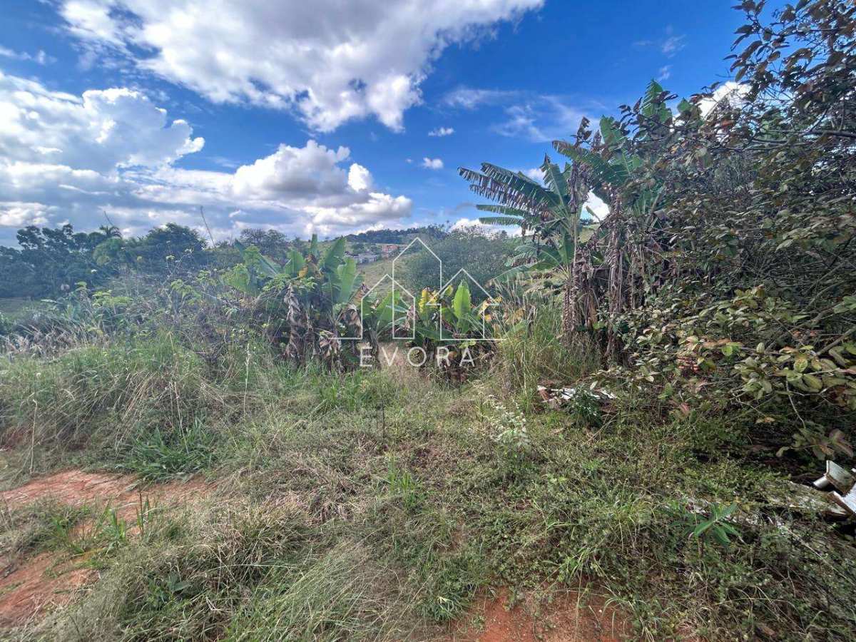Chácara à venda em Monte Sião, Batinga, com 3 quartos, 10.000m² - Évora Imóveis