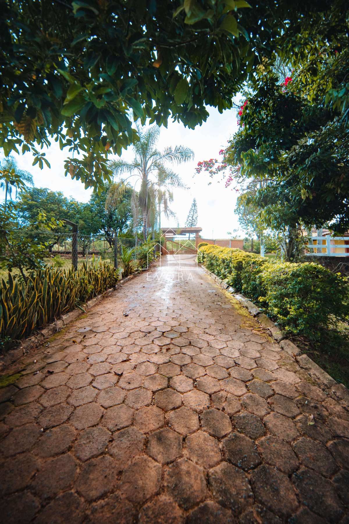 Chácara à venda em Monte Sião, Carapiá, com 6 quartos, 10.000m² - Évora Imóveis