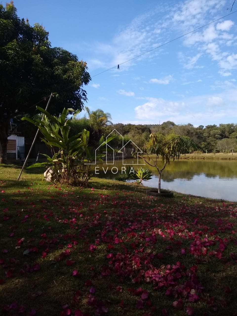 Chácara à venda em Monte Sião, Carapiá, 2.000,00m² - Évora Imóveis