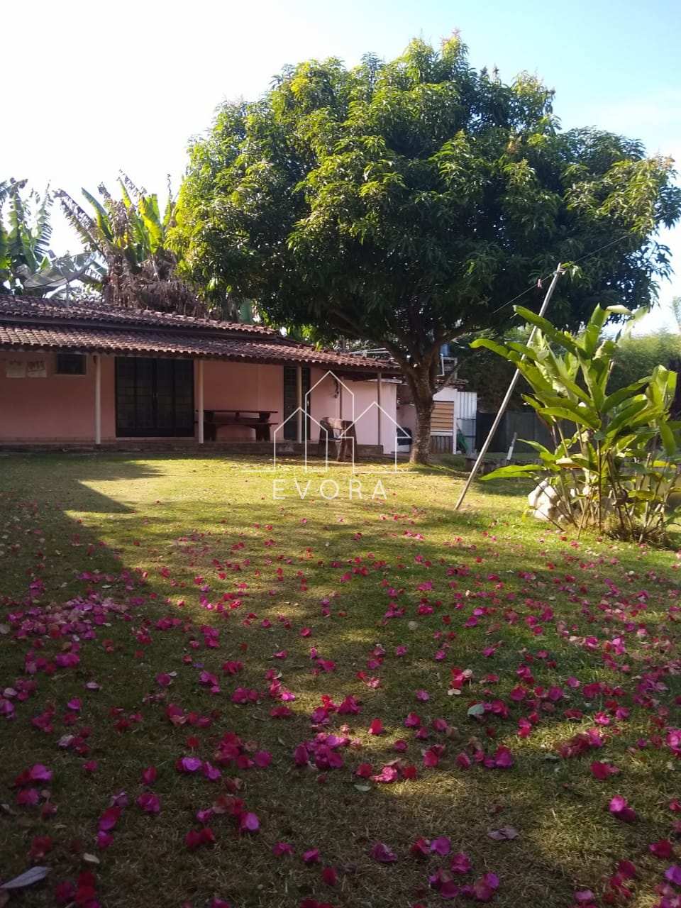 Chácara à venda em Monte Sião, Carapiá, 2.000,00m² - Évora Imóveis