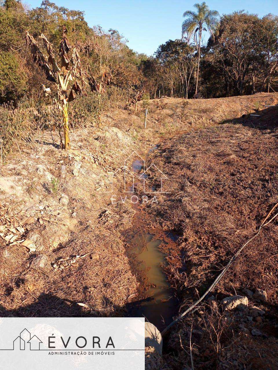 Chácara à venda em Monte Sião, Cochos, 4.000,00m² - Évora Imóveis