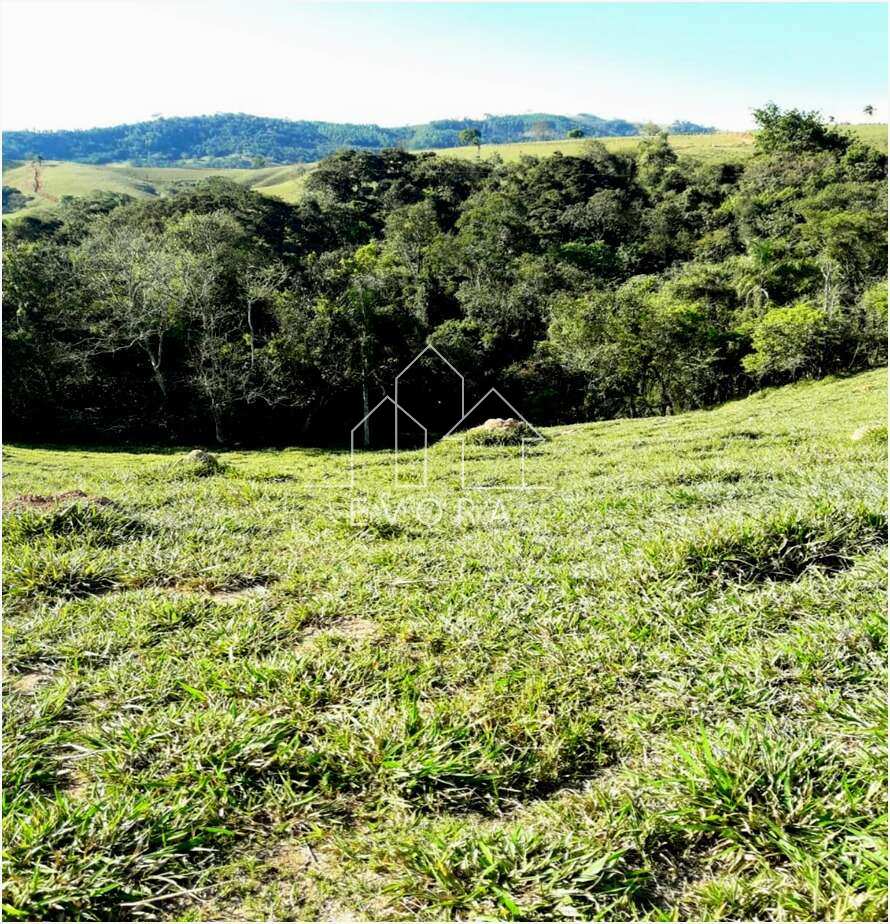 Chácara à venda em Monte Sião, Coqueiral, 4.000,00m² - Évora Imóveis