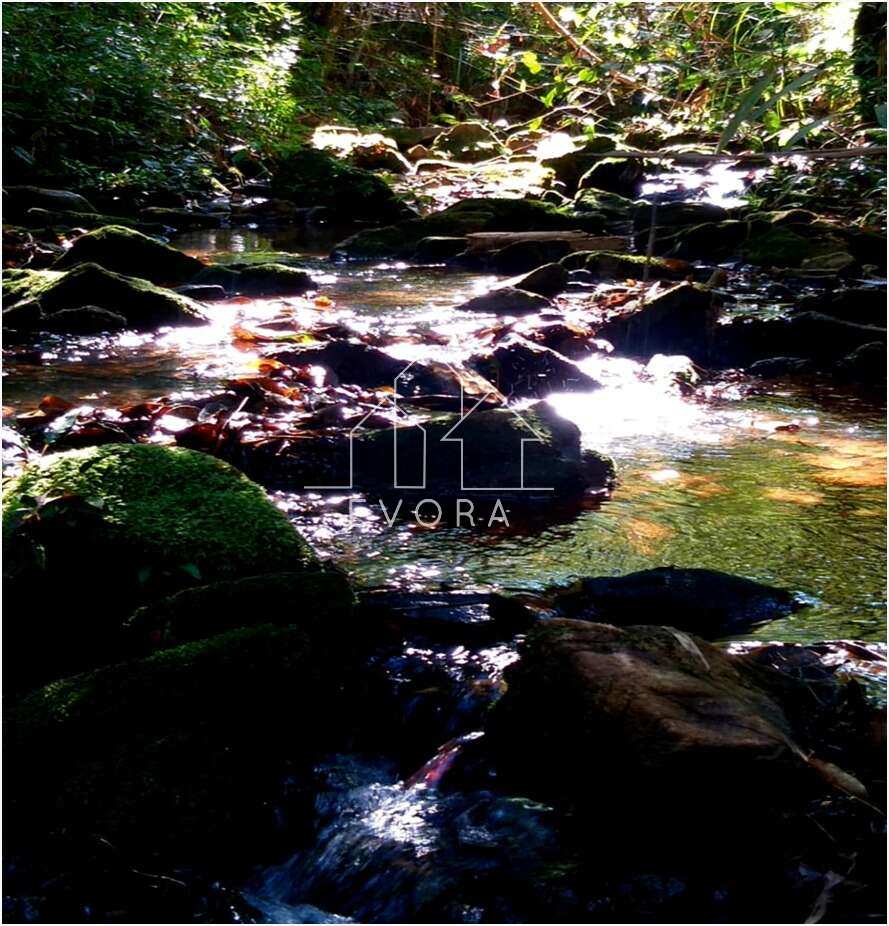 Chácara à venda em Monte Sião, Coqueiral, 4.000,00m² - Évora Imóveis