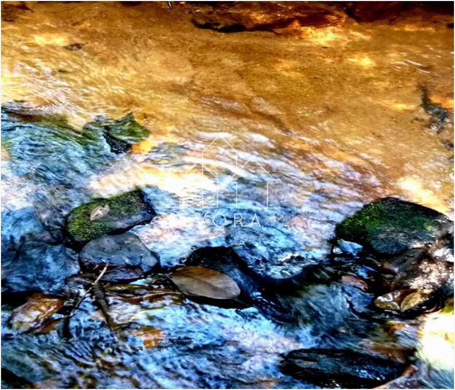 Chácara à venda em Monte Sião, Coqueiral, 4.000,00m² - Évora Imóveis