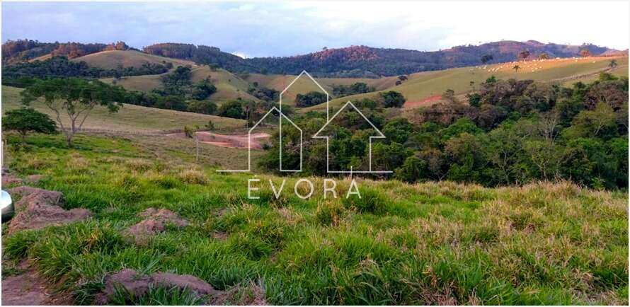 Chácara à venda em Monte Sião, Coqueiral, 4.000,00m² - Évora Imóveis