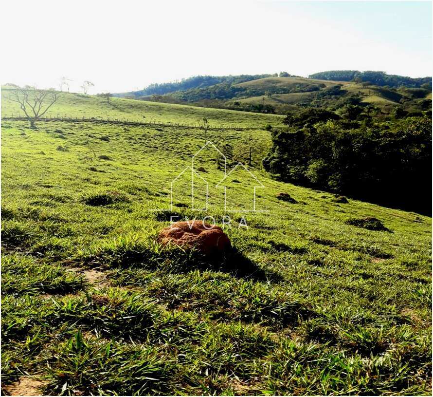 Chácara à venda em Monte Sião, Coqueiral, 4.000,00m² - Évora Imóveis