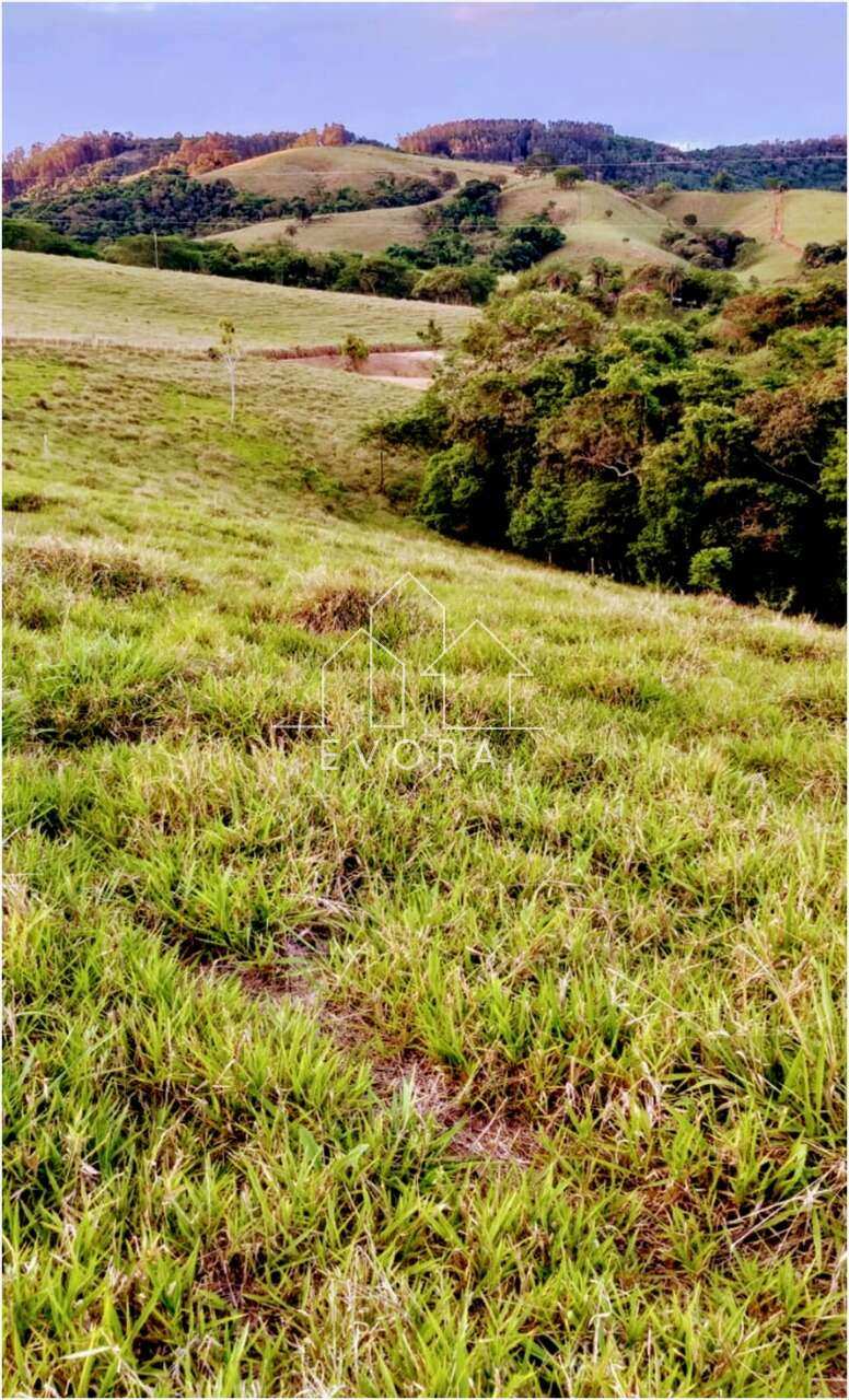 Chácara à venda em Monte Sião, Coqueiral, 4.000,00m² - Évora Imóveis