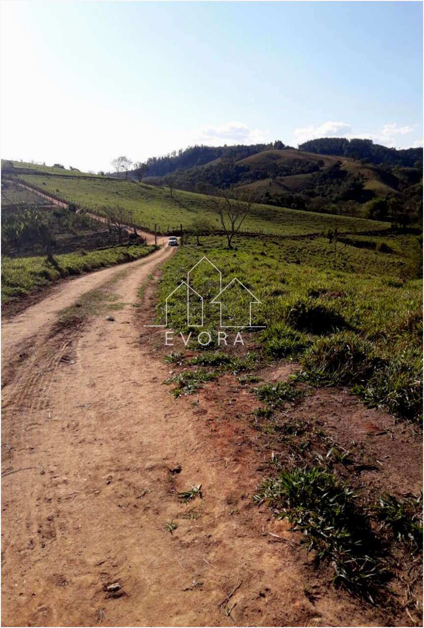 Chácara à venda em Monte Sião, Coqueiral, 4.000,00m² - Évora Imóveis