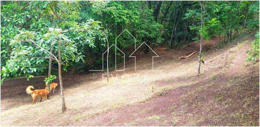 Chácara à venda em Monte Sião, Coqueiral, 20.000,00m² - Évora Imóveis