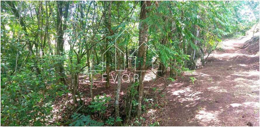 Chácara à venda em Monte Sião, Coqueiral, 20.000,00m² - Évora Imóveis