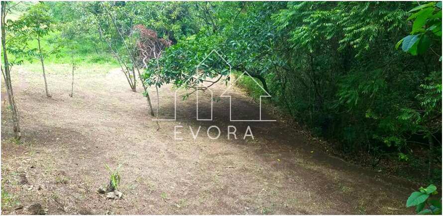 Chácara à venda em Monte Sião, Coqueiral, 20.000,00m² - Évora Imóveis