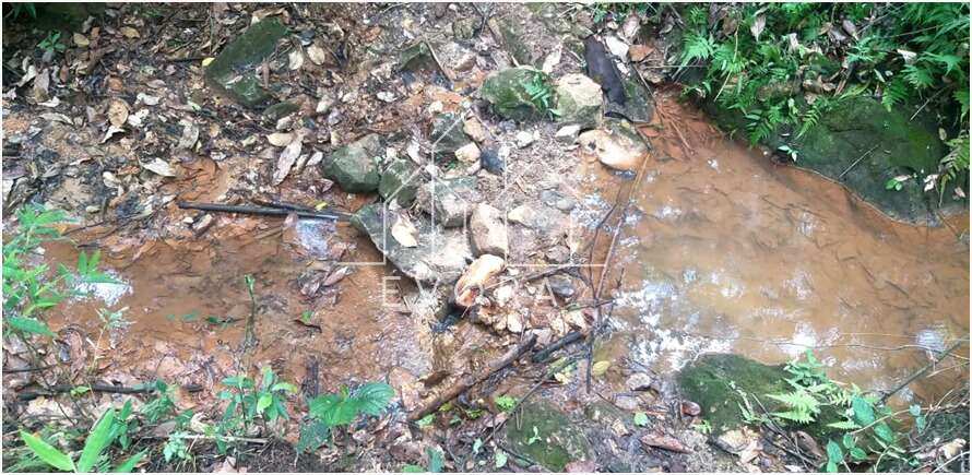 Chácara à venda em Monte Sião, Coqueiral, 20.000,00m² - Évora Imóveis