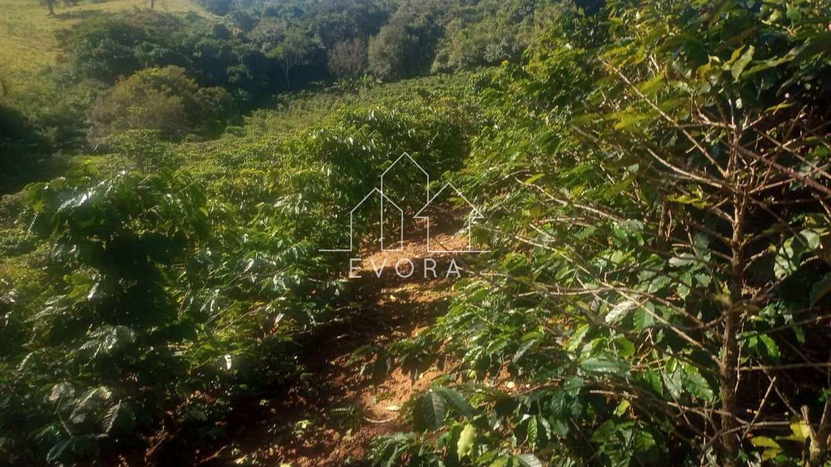 Chácara à venda em Ouro Fino, 30.000m² - Évora Imóveis