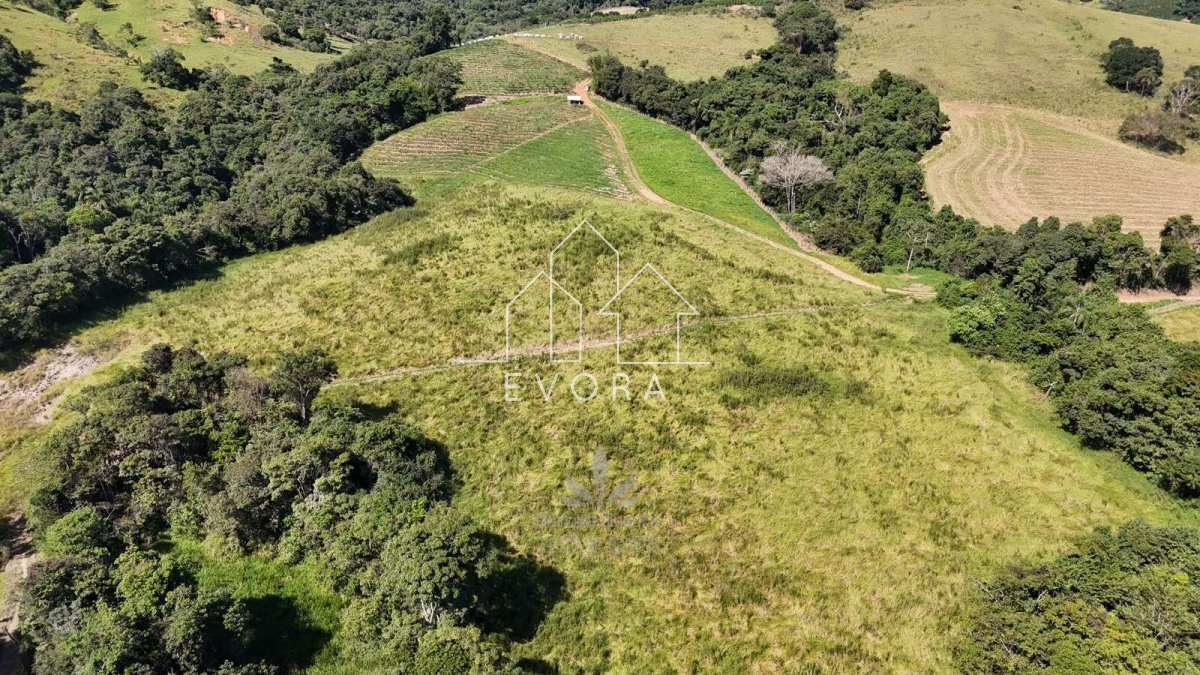 Fazenda à venda em Socorro, 45,5ha - Évora Imóveis