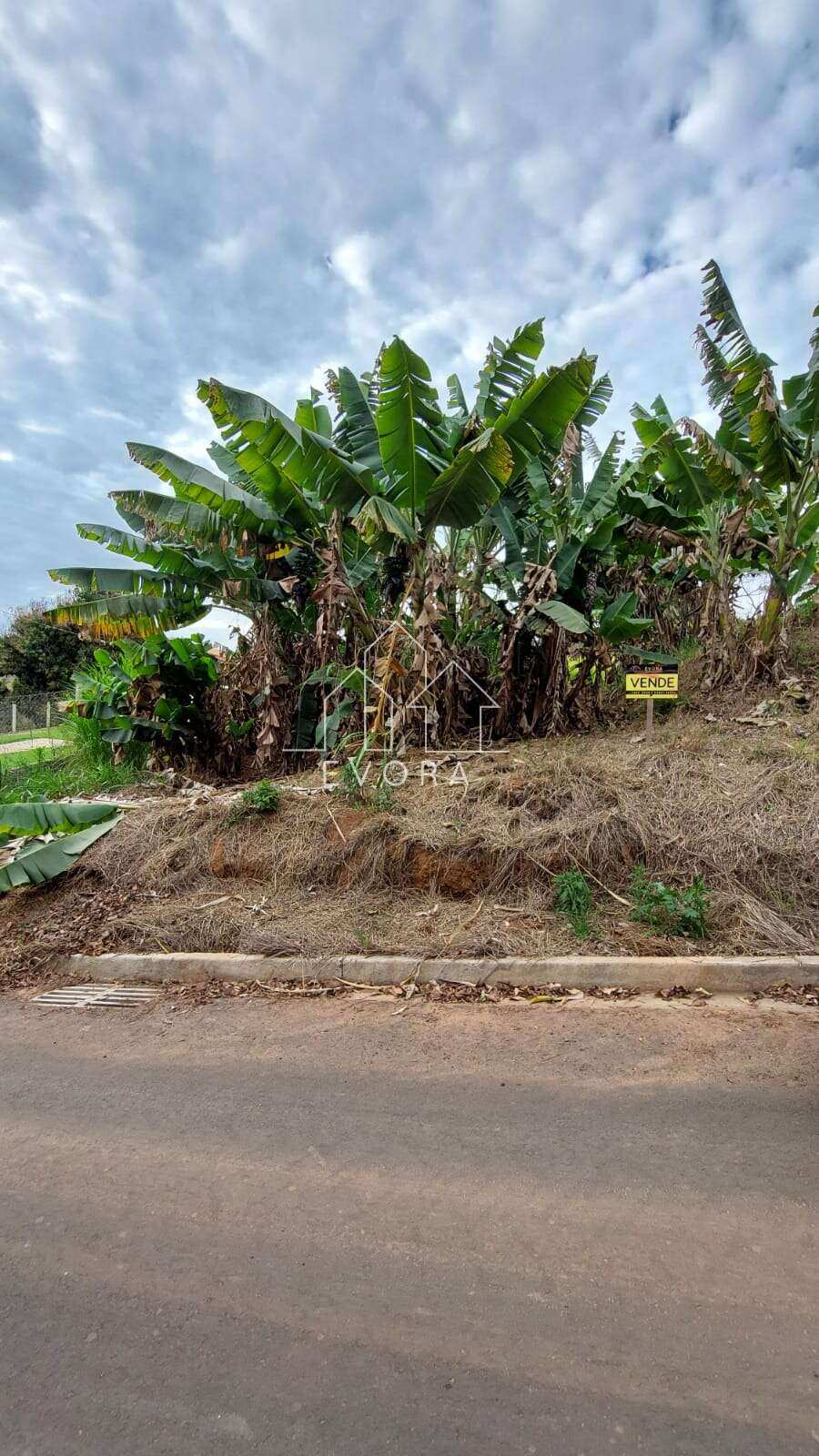 Chácara à venda em Monte Sião, Batinguinha, 500,00m² - Évora Imóveis