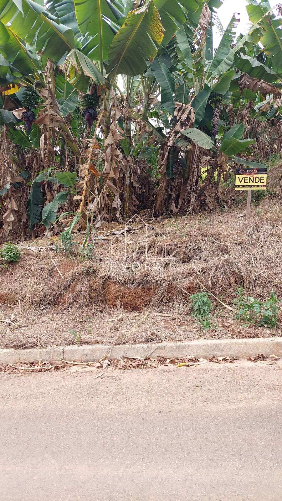 Chácara à venda em Monte Sião, Batinguinha, 500,00m² - Évora Imóveis