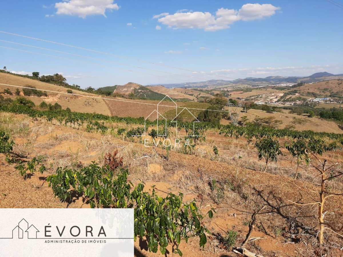 Sítio à venda em Jacutinga, São Luiz, 3,35Alqueires Paulista - Évora Imóveis