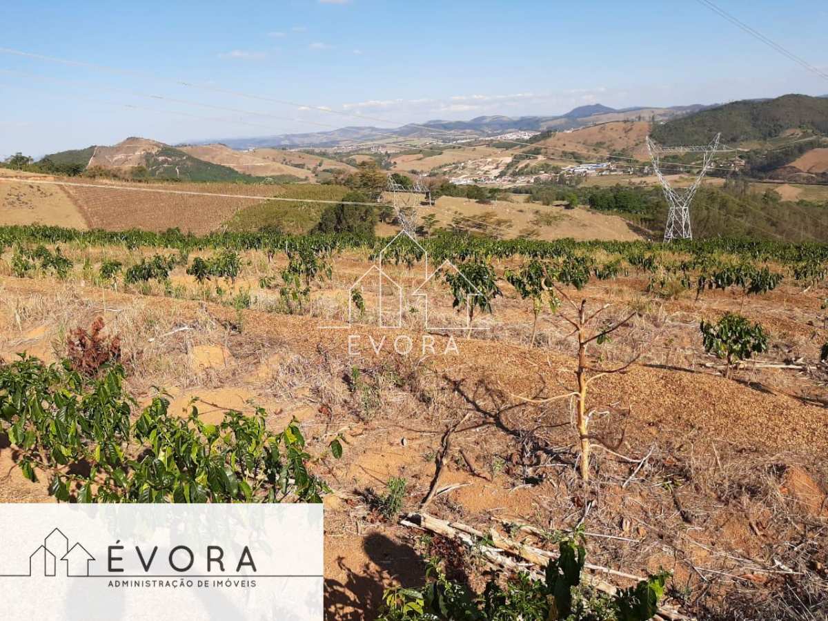 Sítio à venda em Jacutinga, São Luiz, 3,35Alqueires Paulista - Évora Imóveis