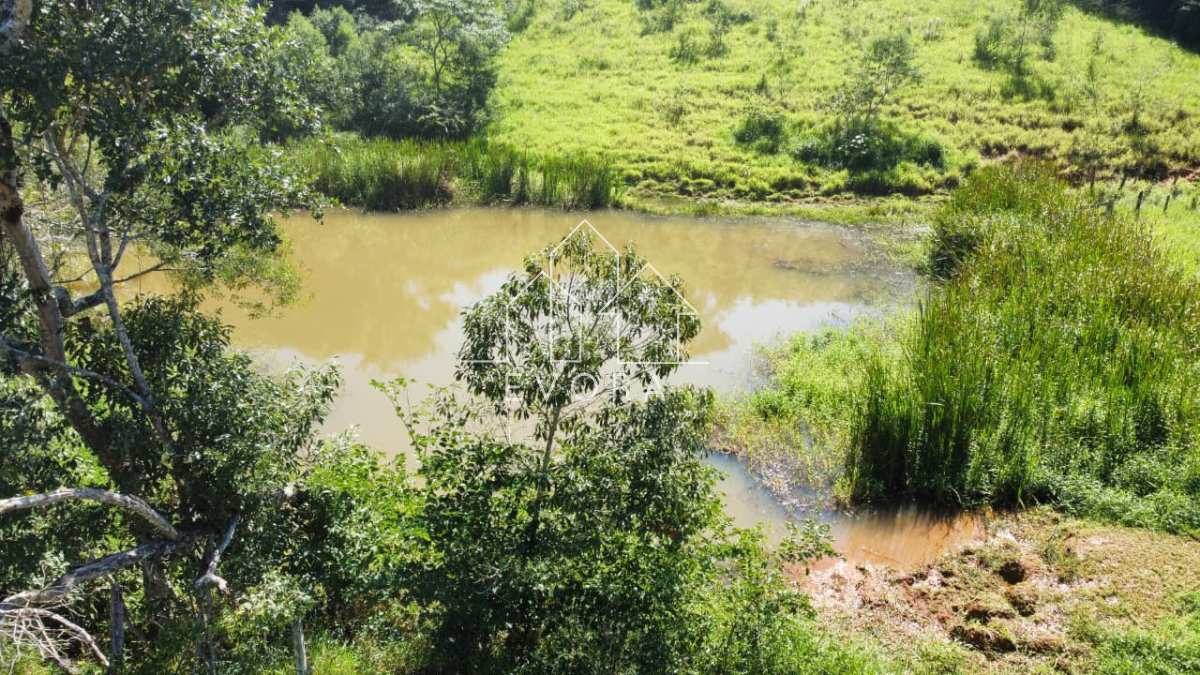 Sítio à venda em Monte Sião, Farias, 6Alqueires Paulista - Évora Imóveis