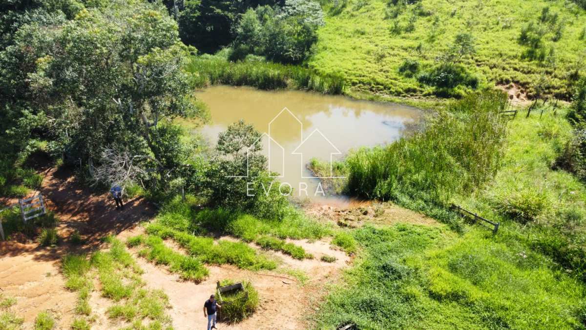 Sítio à venda em Monte Sião, Farias, 6Alqueires Paulista - Évora Imóveis