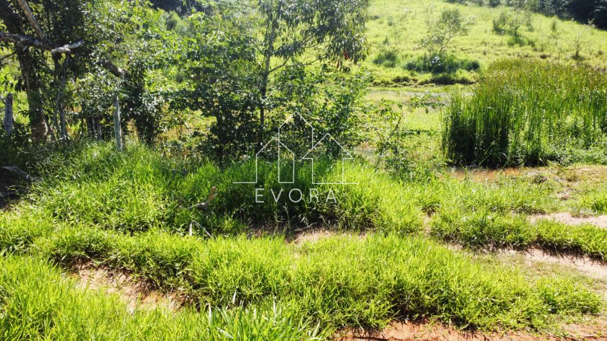 Sítio à venda em Monte Sião, Farias, 6Alqueires Paulista - Évora Imóveis