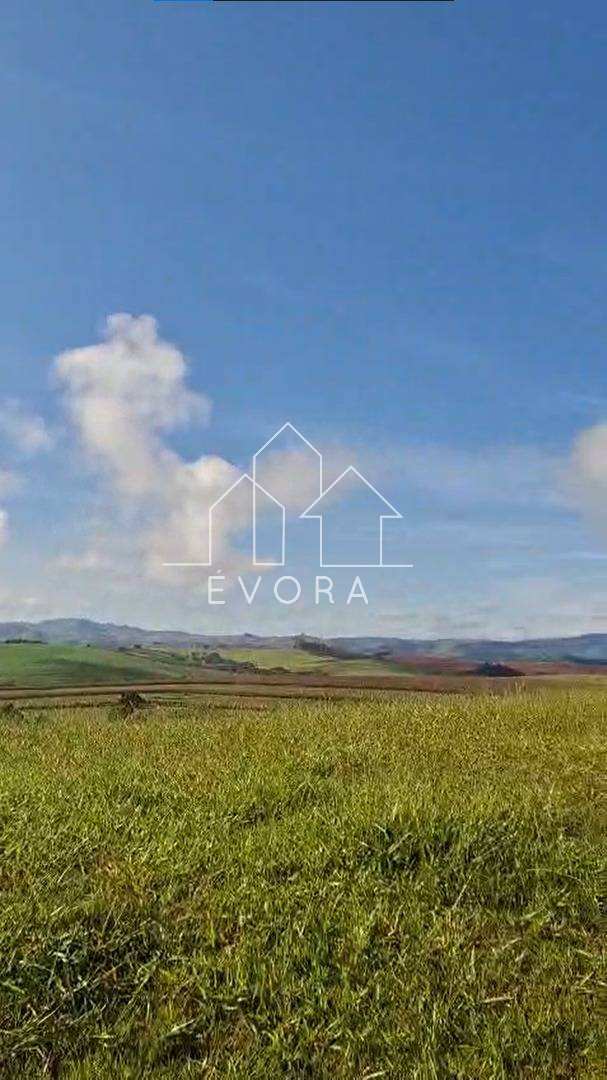 Sítio à venda em Monte Sião, Ferminada, 5Alqueires Paulista - Évora Imóveis