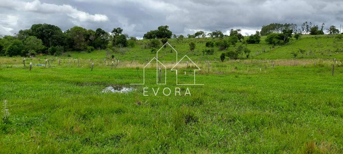 Sítio à venda em Monte Sião, Furriel, 18Alqueires Paulista - Évora Imóveis