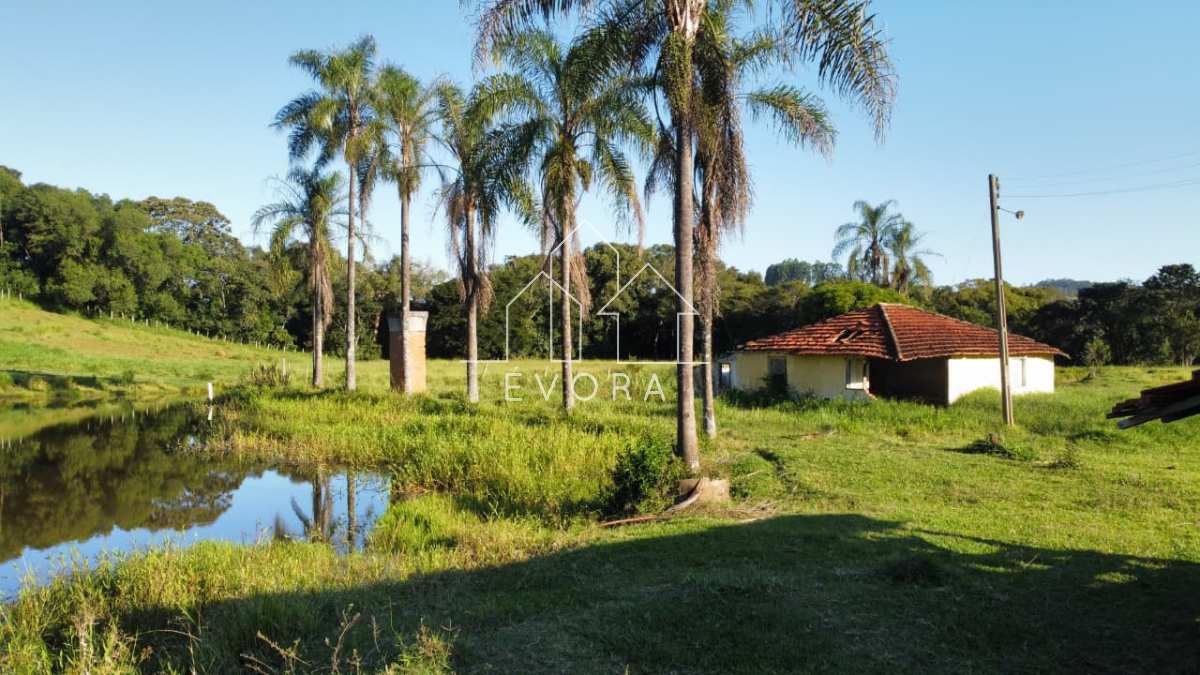 Sítio à venda em Monte Sião, Furriel, 9Alqueires Paulista - Évora Imóveis