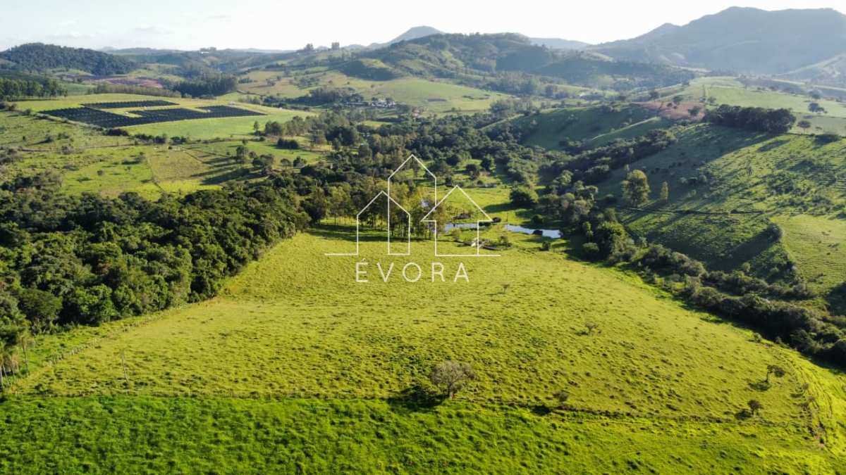 Sítio à venda em Monte Sião, Furriel, 9Alqueires Paulista - Évora Imóveis