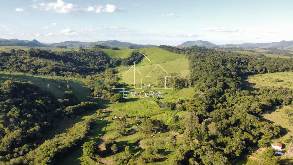 Sítio à venda em Monte Sião, Furriel, 9Alqueires Paulista - Évora Imóveis
