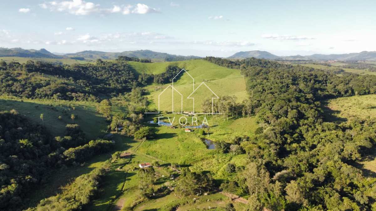 Sítio à venda em Monte Sião, Furriel, 9Alqueires Paulista - Évora Imóveis