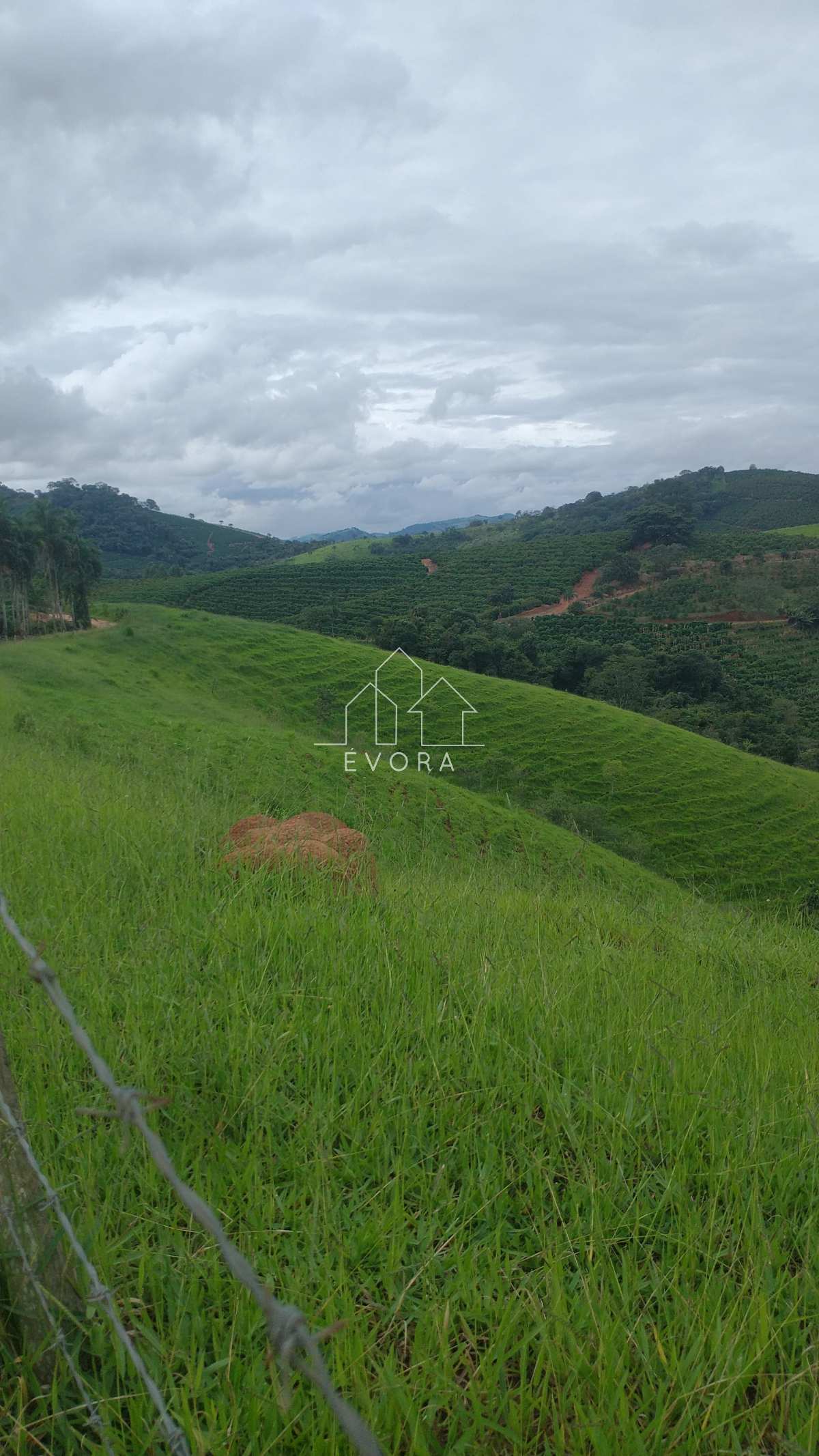 Sítio à venda em Monte Sião, Guardinha, 7,5Alqueires Paulista - Évora Imóveis