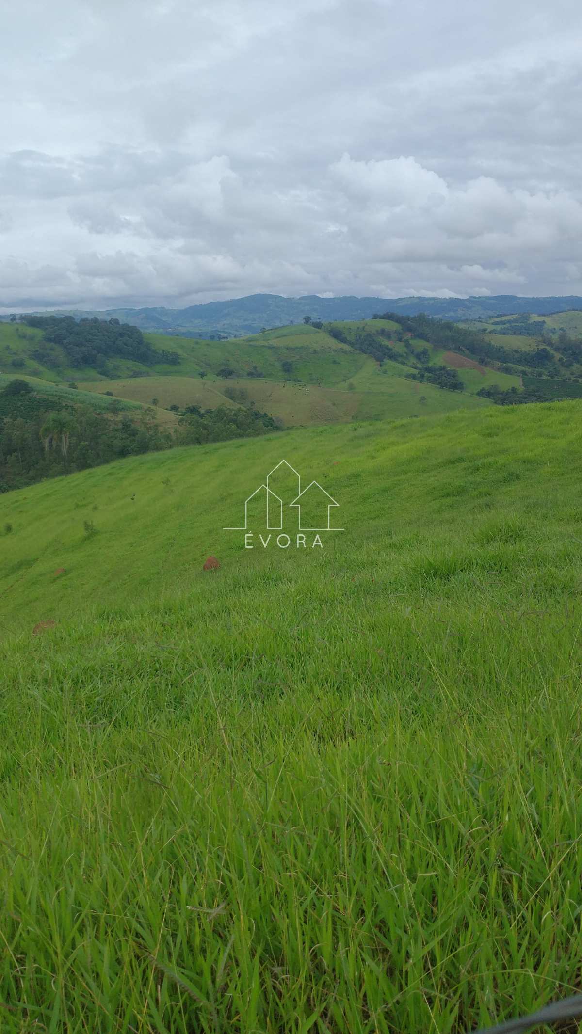 Sítio à venda em Monte Sião, Guardinha, 7,5Alqueires Paulista - Évora Imóveis