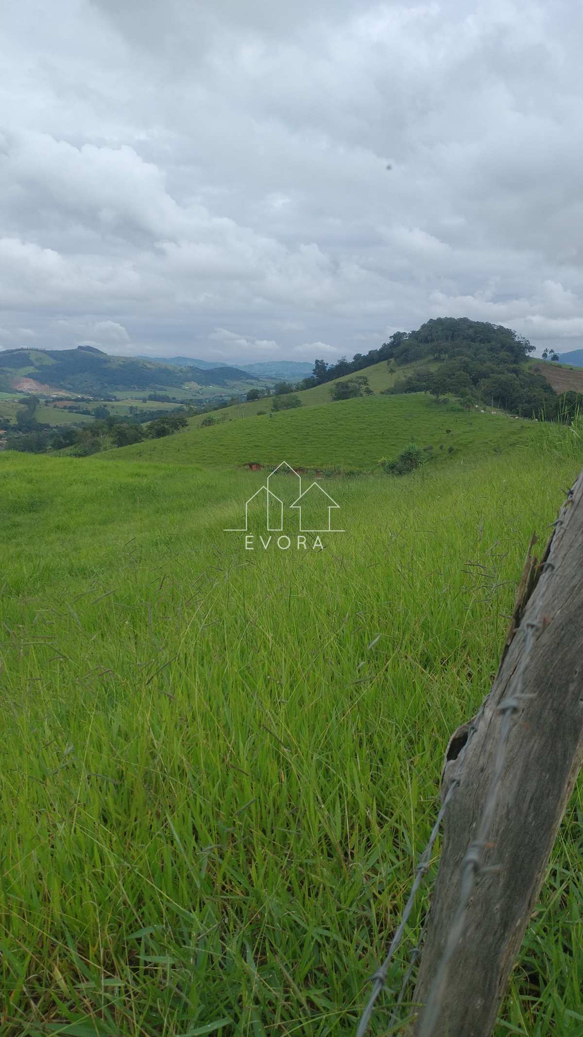 Sítio à venda em Monte Sião, Guardinha, 7,5Alqueires Paulista - Évora Imóveis