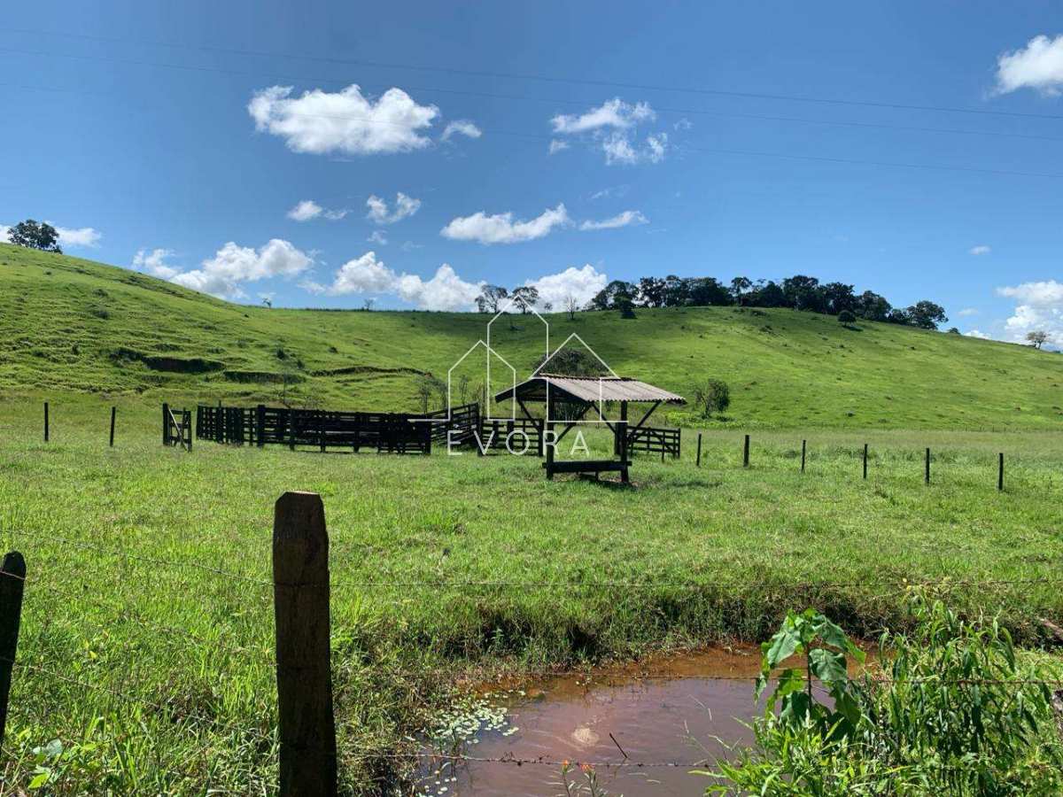 Sítio à venda em Monte Sião, Guardinha, 6Alqueires Paulista - Évora Imóveis