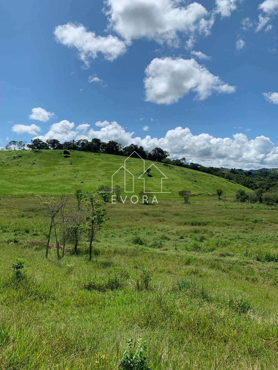 Sítio à venda em Monte Sião, Guardinha, 6Alqueires Paulista - Évora Imóveis