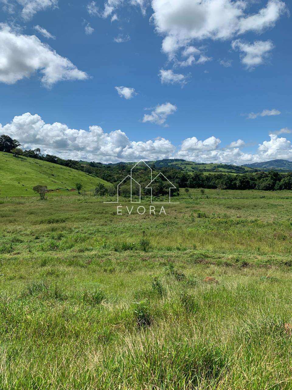 Sítio à venda em Monte Sião, Guardinha, 6Alqueires Paulista - Évora Imóveis
