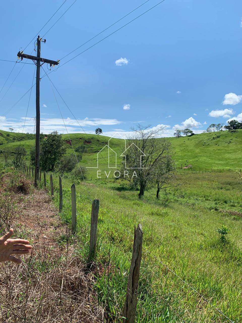 Sítio à venda em Monte Sião, Guardinha, 6Alqueires Paulista - Évora Imóveis