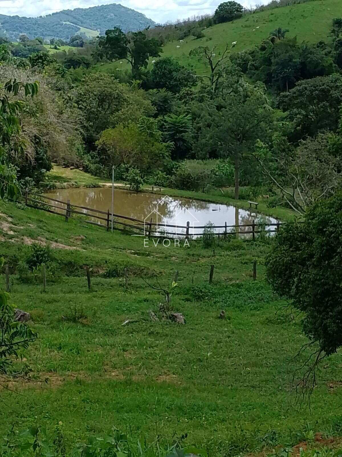 Sítio à venda em Monte Sião, Perobal, 9Alqueires Paulista - Évora Imóveis