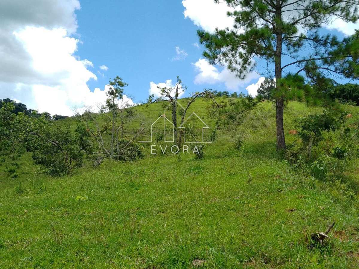 Sítio à venda em Monte Sião, Perobal, 9Alqueires Paulista - Évora Imóveis