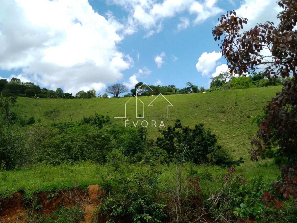 Sítio à venda em Monte Sião, Perobal, 9Alqueires Paulista - Évora Imóveis