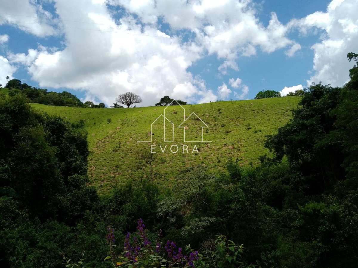 Sítio à venda em Monte Sião, Perobal, 9Alqueires Paulista - Évora Imóveis