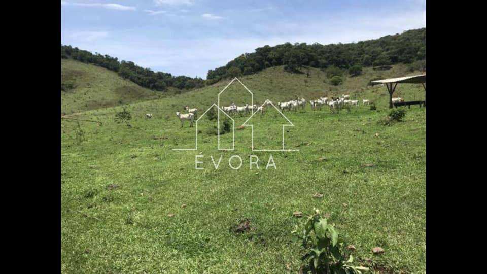 Sítio à venda em Monte Sião, 23Alqueires Paulista - Évora Imóveis