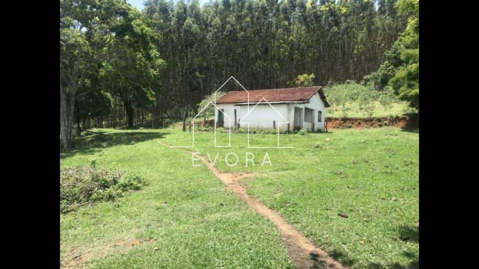 Sítio à venda em Monte Sião, 23Alqueires Paulista - Évora Imóveis