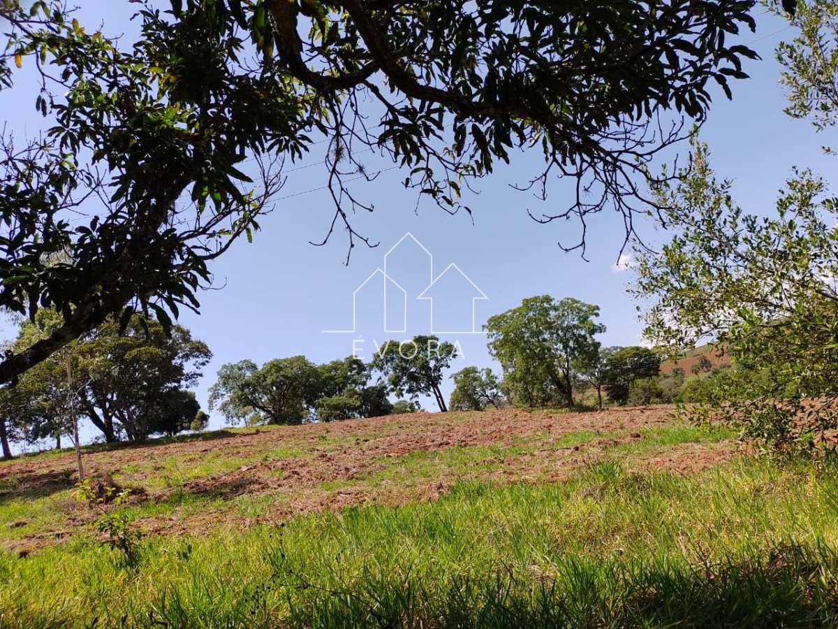 Sítio à venda em Ouro Fino, 25Alqueires Paulista - Évora Imóveis